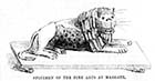 Specimen of the fine arts at Margate [Jolly's Bazaar] 1856 | Margate History